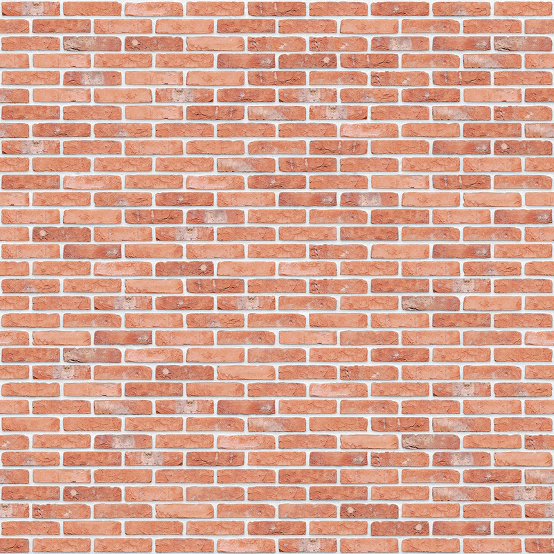 Fuga Fasadna Listela Terra Cotta GS Bela