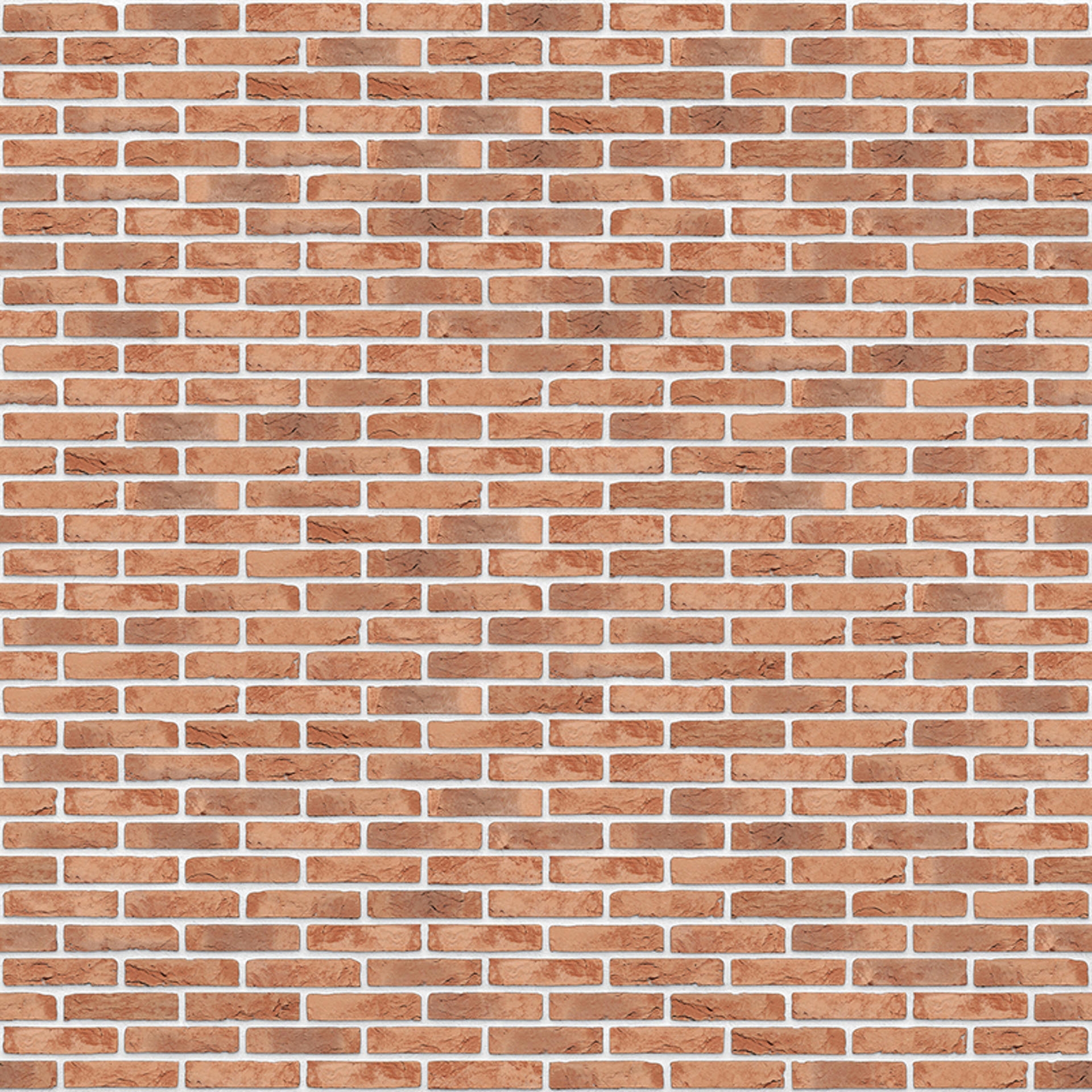 Fuga Fasadna Listela Terra Cotta Bela